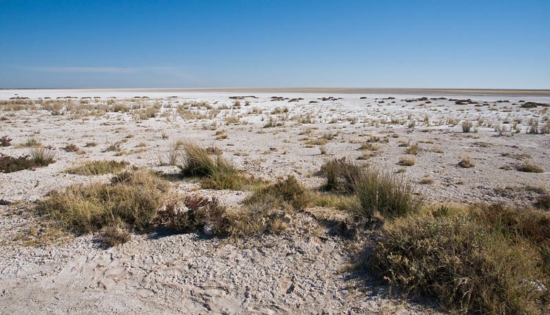 Etosha National Park 3